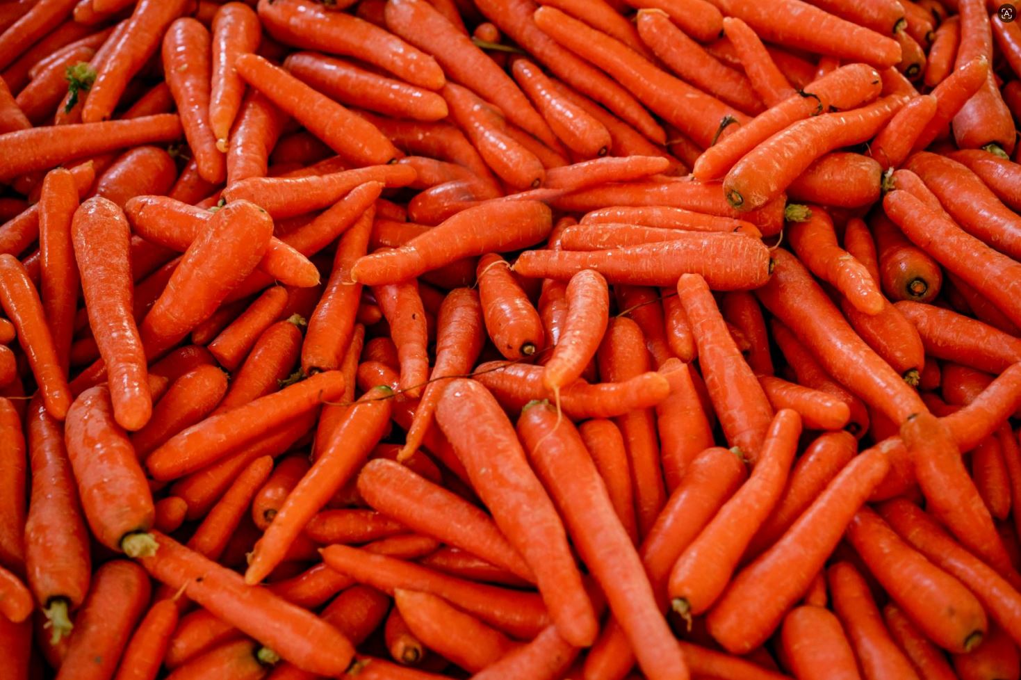 Carrots
