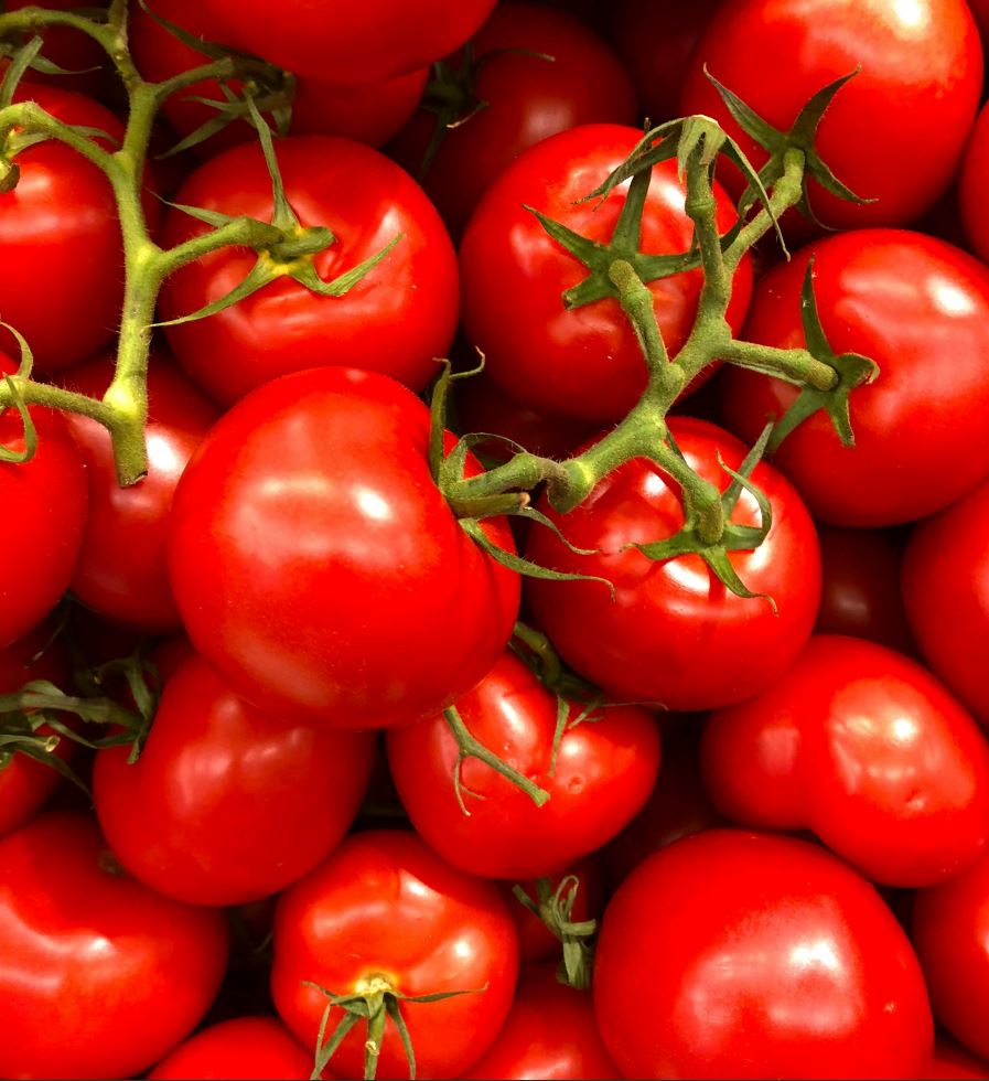 Tomato